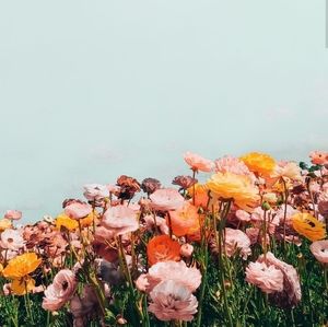 Meet your Posher, Mutia